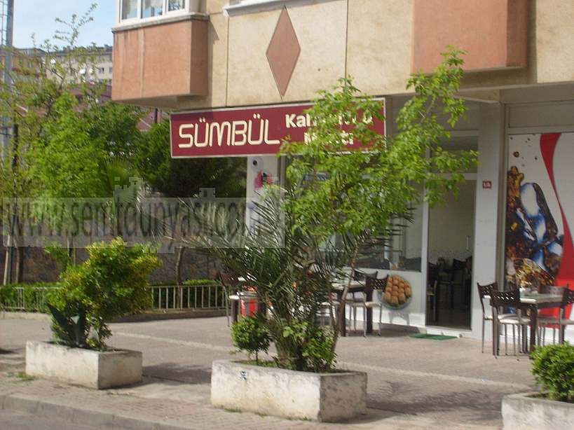 Tıklayın